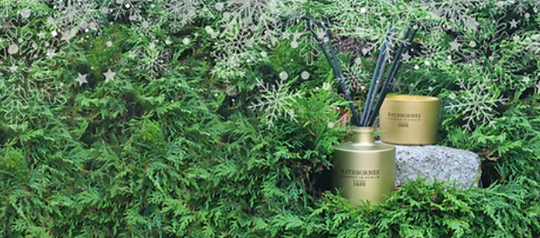 What Do Candles Symbolise at Christmas?
