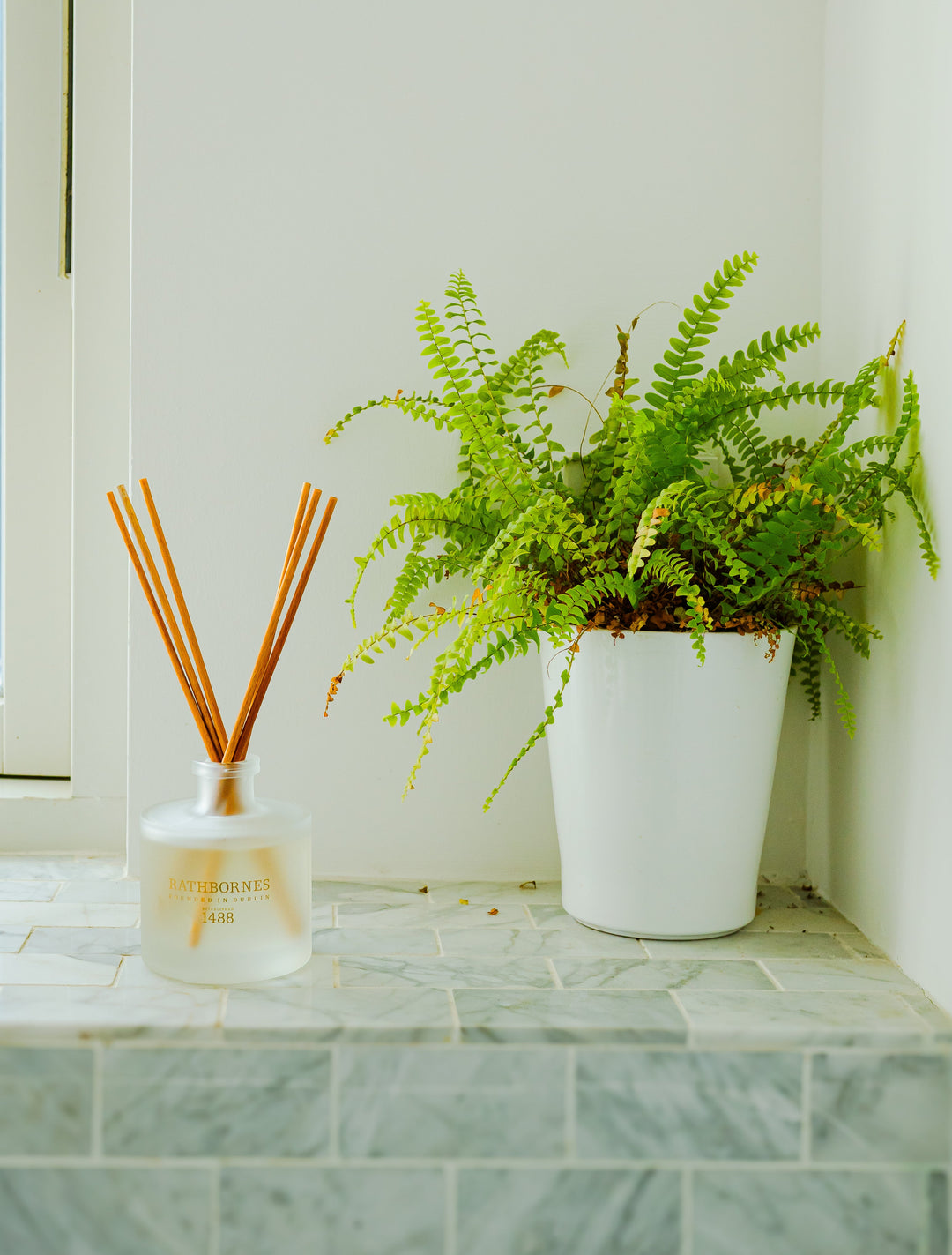 Reed Diffuser with an indoor plant nearby