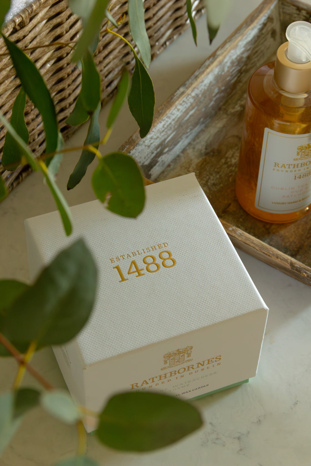 Bath & Body Works bottle and box on a surface with greenery